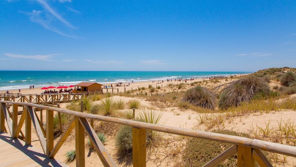 Foto de Platja Centre de Guardamar