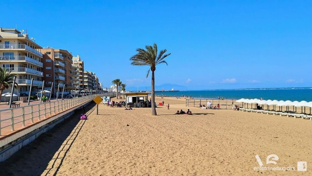 Foto de Platja Centre de Guardamar