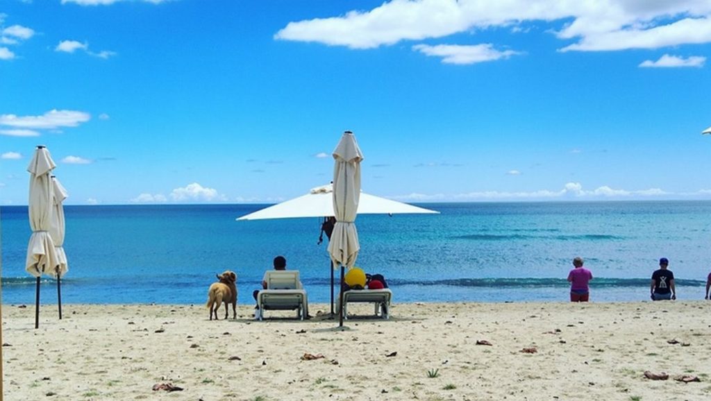 Platja d'Aigua Amarga — foto 3 de 6