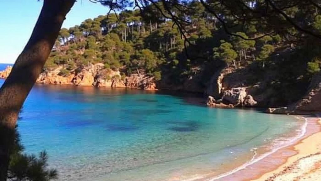Platja d'Aiguablava — foto 5 de 6