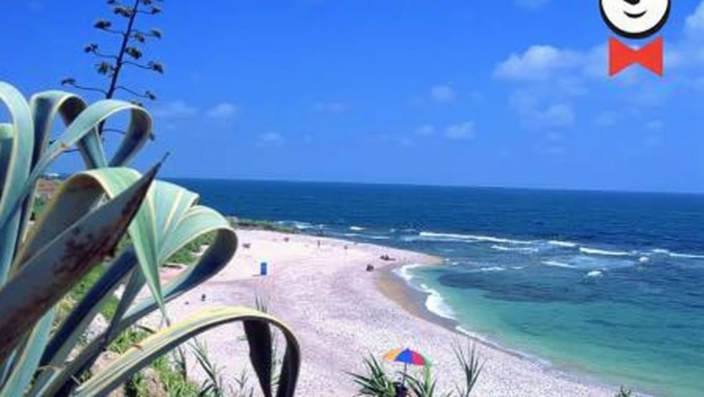 Platja d'Aiguadoliva — foto 3 de 6