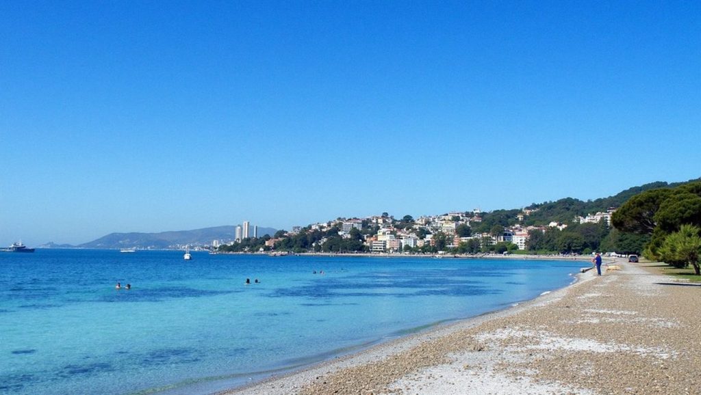 Platja d'Alcanada (Alcúdia) — playa en la costa de Mallorca