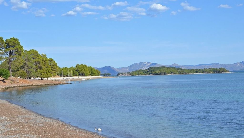 Arena fina en Platja d'Alcanada, Alcúdia, Mallorca
