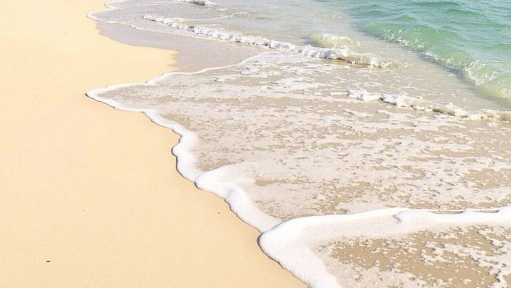 Entorno de Platja d'Els Arenals, Formentera, Formentera