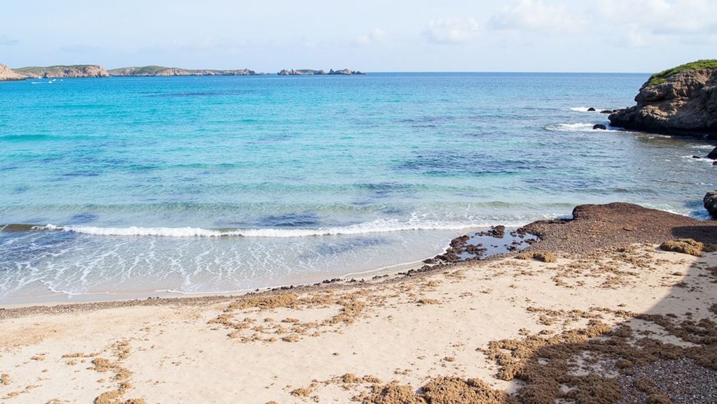 Platja d’en Tortuga — foto 5 de 6