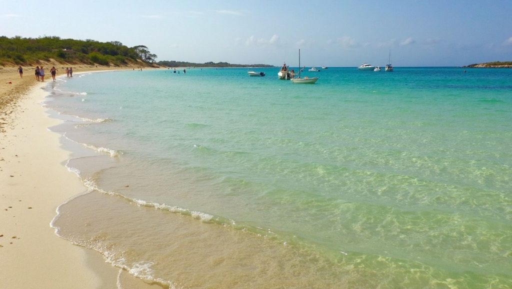 Arena y mar en Platja d'es Carbó, Ses Salines, Mallorca
