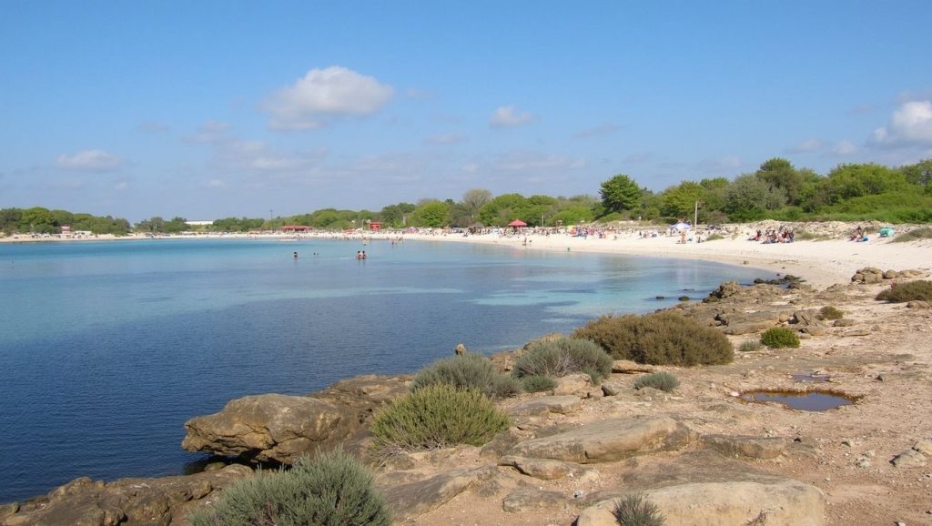 Paseo hacia Platja d'es Coto, Ses Salines