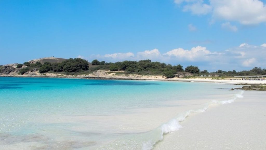 Playa Platja d'es Dolç desde la arena, Ses Salines, Mallorca