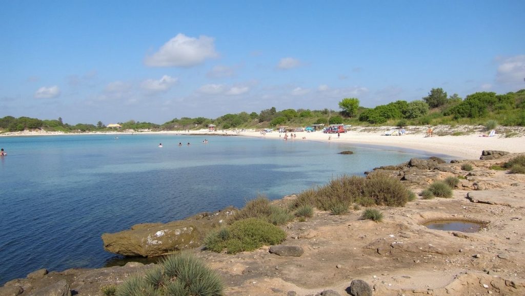 Vista del litoral en Platja d'es Port, Ses Salines