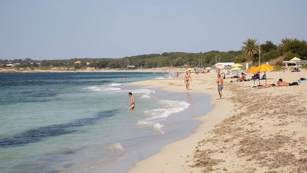 Primer plano de la orilla de Platja de Ca Marí, Formentera