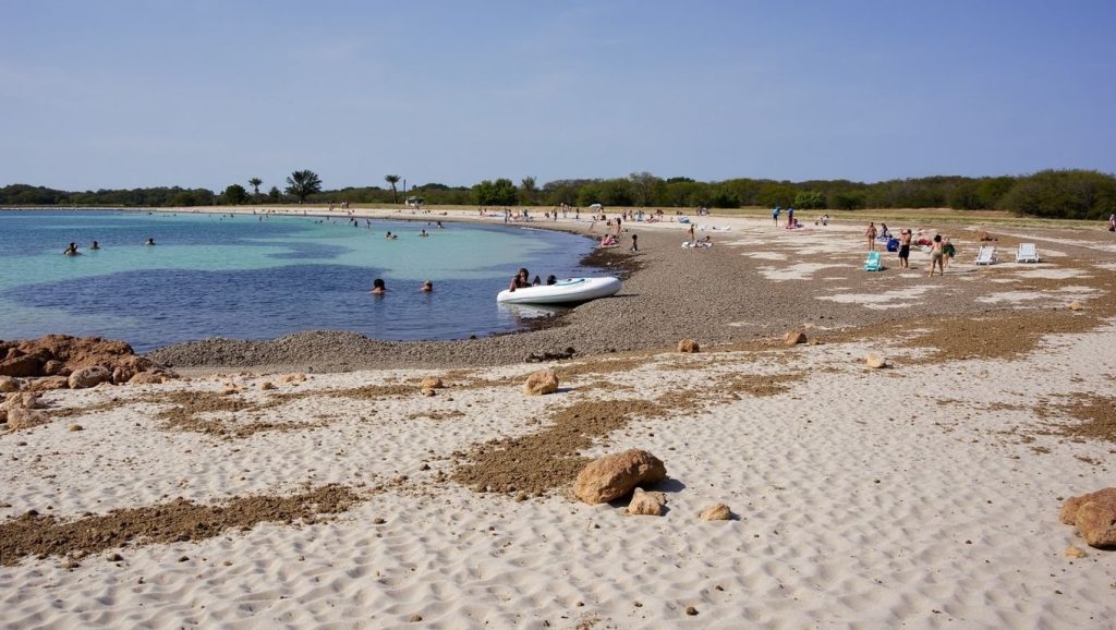 Vista del entorno de Platja de Can Curt, Ses Salines, Mallorca