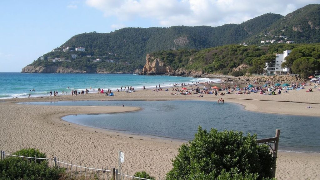 Orilla tranquila de platja de Canyamel, playa de Capdepera