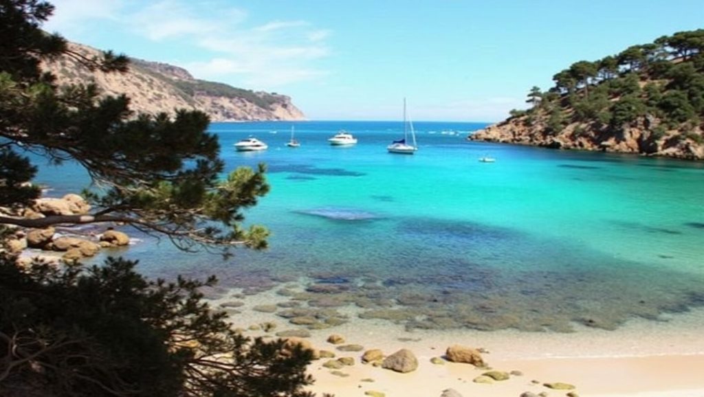 Foto de Platja de l'Aigua Blanca