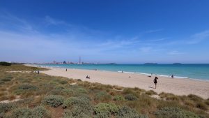 Platja de l’Arbre del Gos
