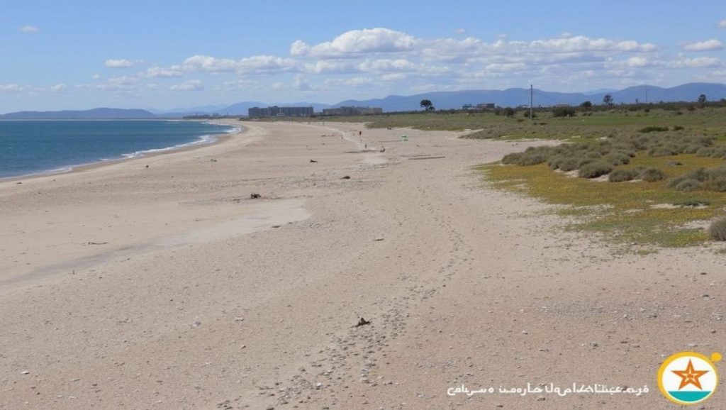 Foto de Platja de l'Arbre del Gos