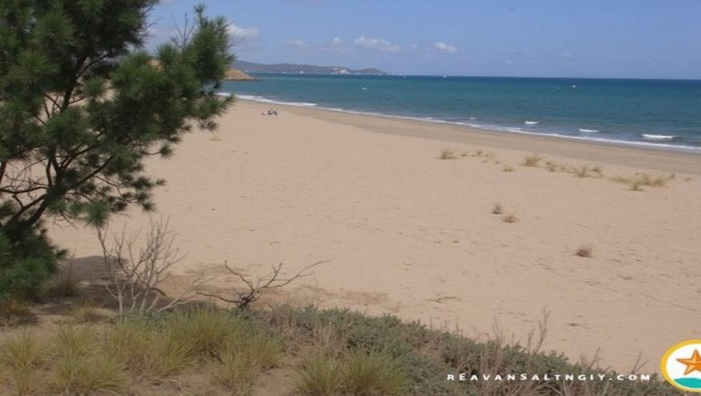 Foto de Platja de l'Arbre del Gos