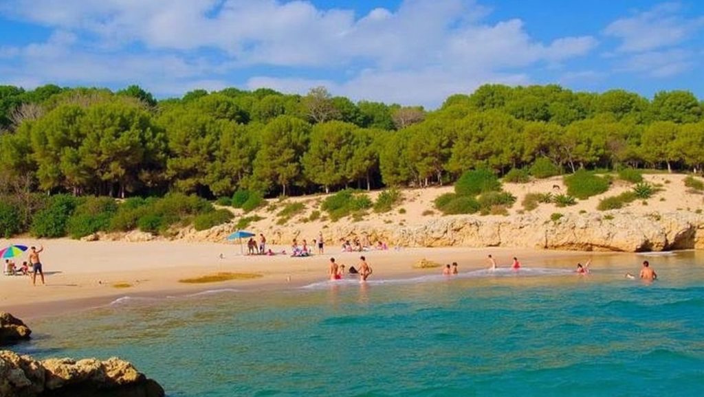 Platja de l'Arenal (L'Ampolla) — foto 2 de 6