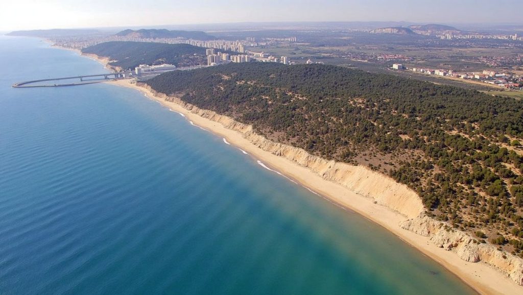 Foto de Platja de l'Eixidor