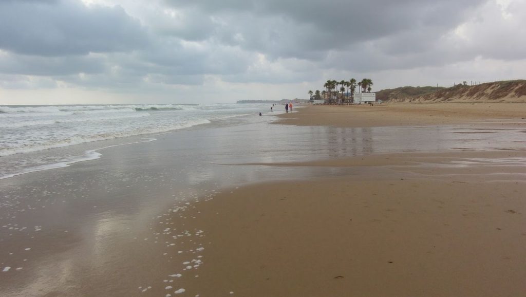 Foto de Platja de l'Eixidor