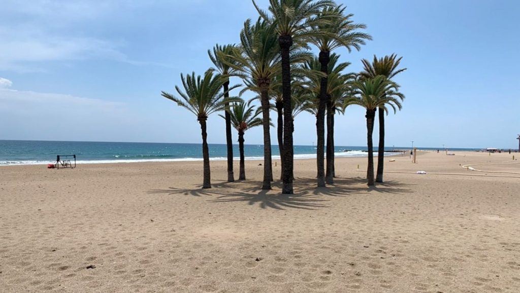 Foto de Platja de l'Esparrelló