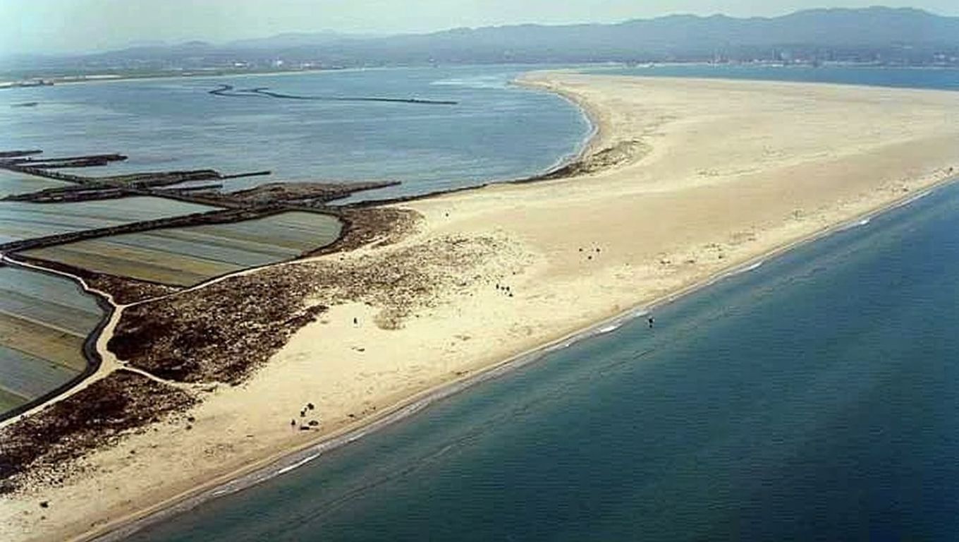 Platja de la Marquesa (Deltebre, Tarragona)