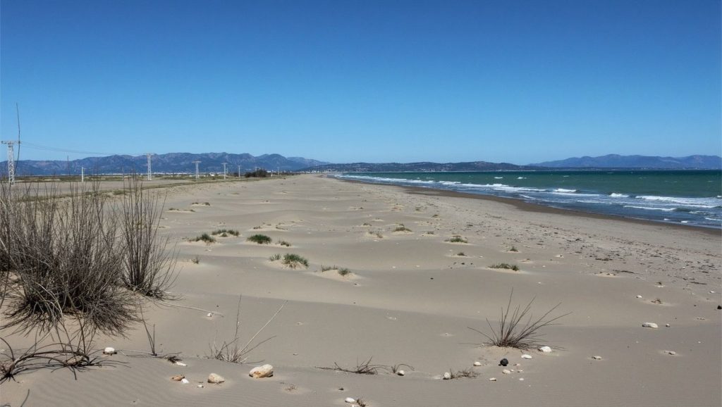 Platja de la Marquesa — foto 5 de 6