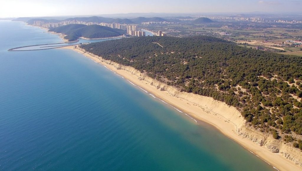 Foto de Platja de La Roqueta