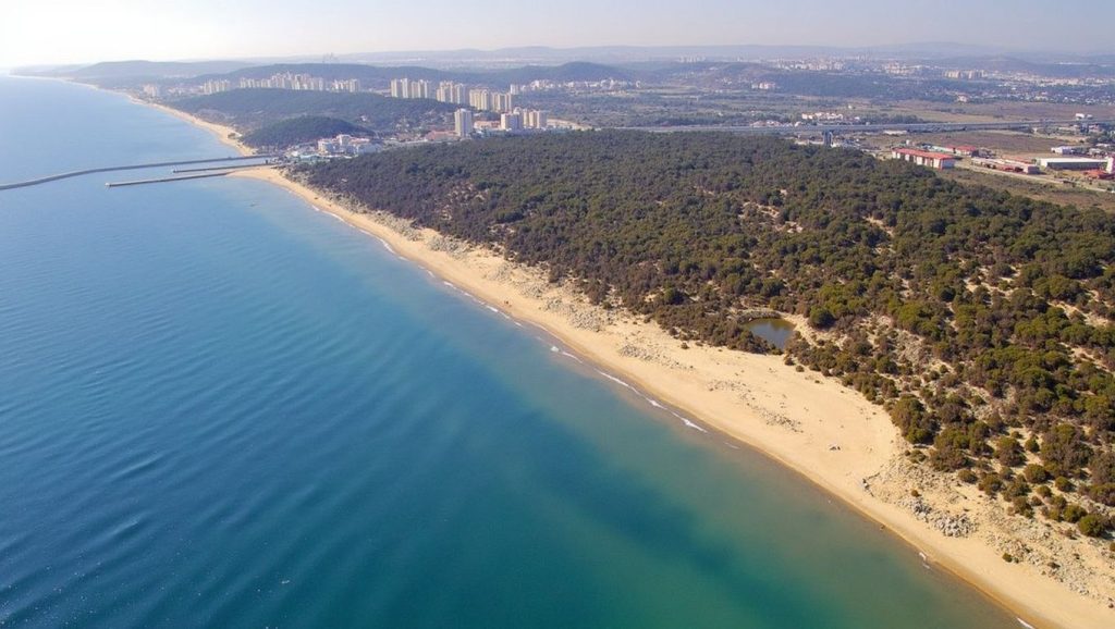 Foto de Platja de les Pesqueres - el Rebollo