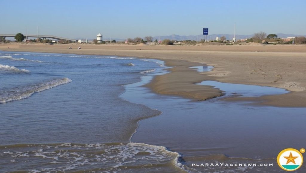 Foto de Platja de Meliana