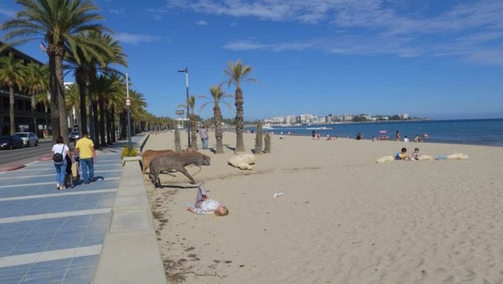 Platja de Ponent (Salou) — foto 2 de 6