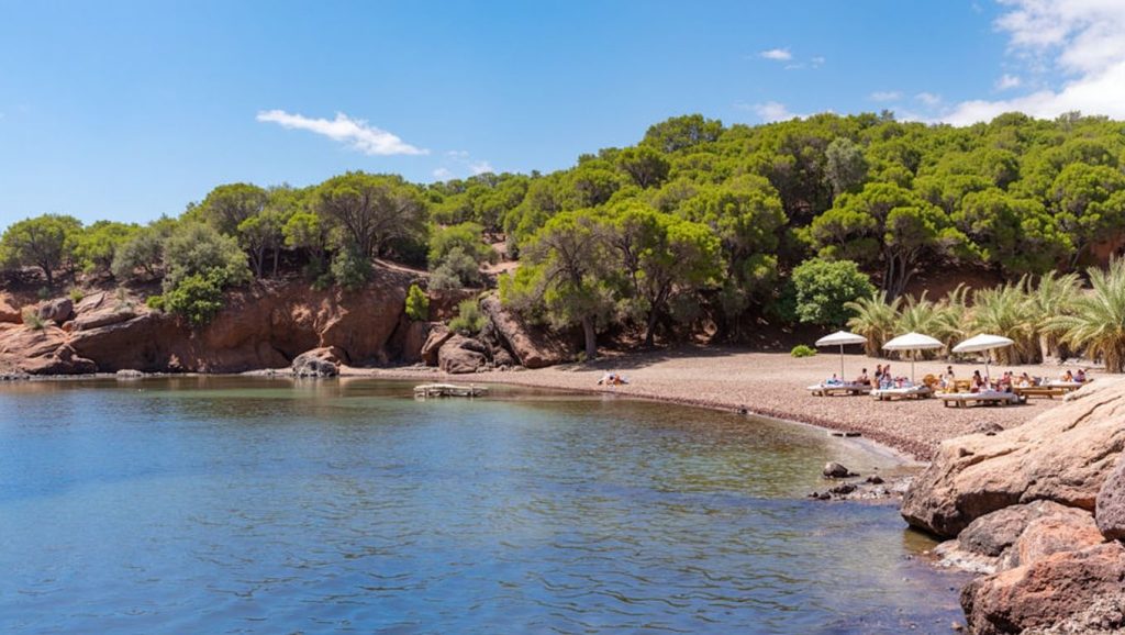 Playa Platja de s'Estanyol en Santa Margalida, Mallorca