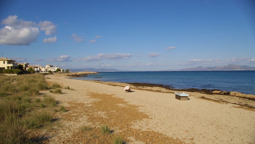 Arena y mar en Platja de s'Home Mort, Santa Margalida, Mallorca
