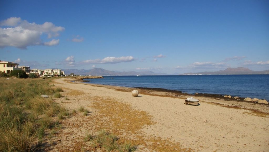 Amplia vista de Platja de s'Home Mort, Santa Margalida, Mallorca