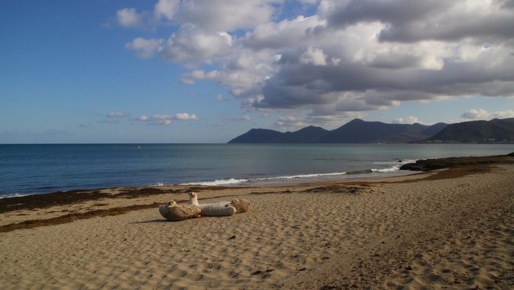 Acceso a Platja de s'Home Mort desde el aparcamiento, Santa Margalida