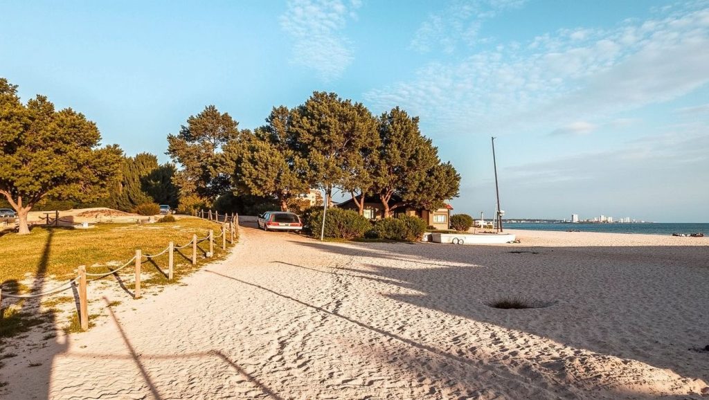 Línea de costa en Platja de sa Marjal (s'Arenal de sa Ràpita), Campos