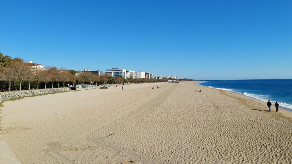 Primer plano de la orilla de Platja de Sant Joan, Vilanova i la Geltrú