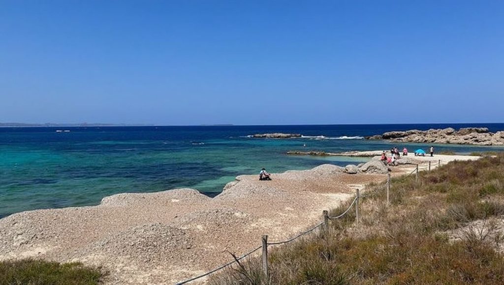 Vista del entorno de Platja de Ses Canyes, Formentera, Formentera