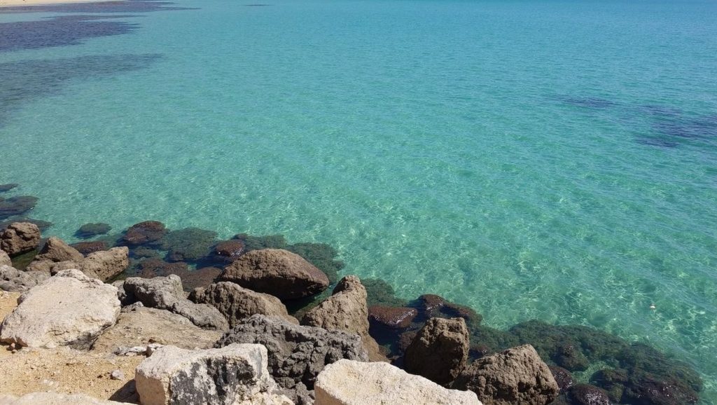 Panorámica de Platja de Ses Covetes con cielo despejado, Campos