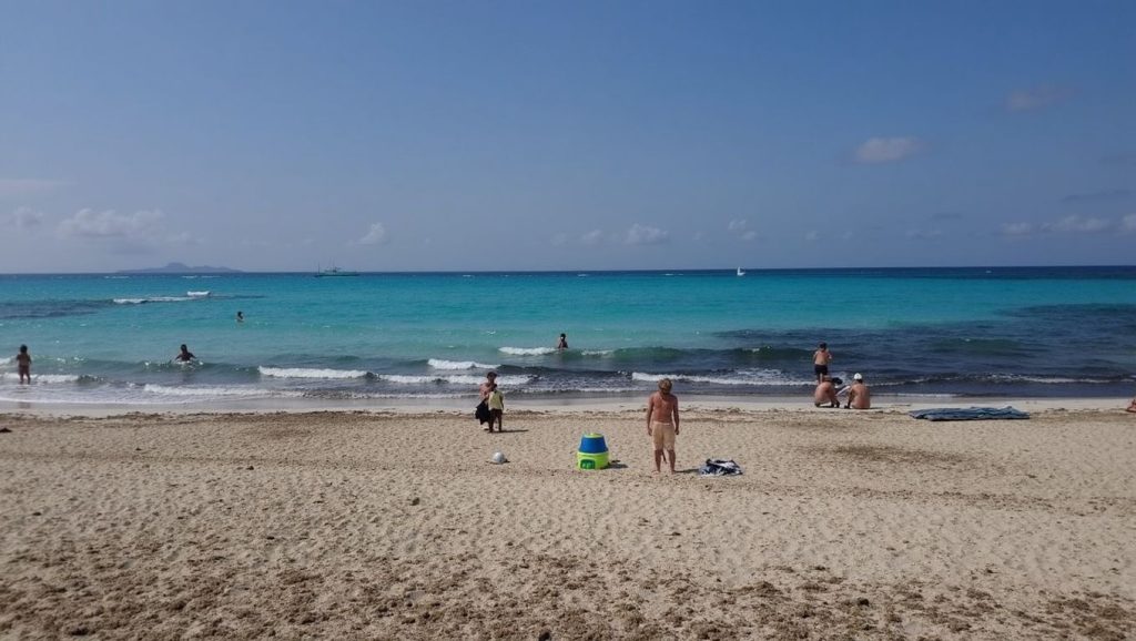 Entorno de Platja de Ses Covetes, Campos, Mallorca