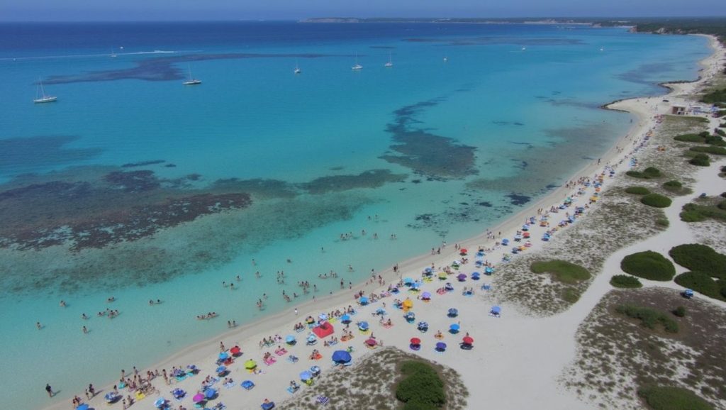 Vista general de Platja de Ses Covetes, Campos