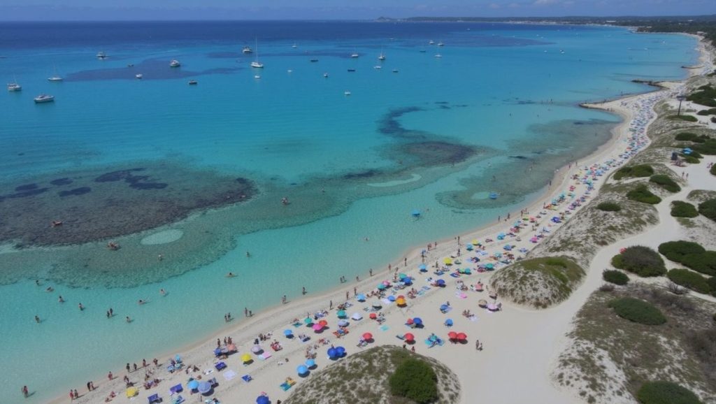 Vista de Platja de Ses Covetes desde la orilla, Campos