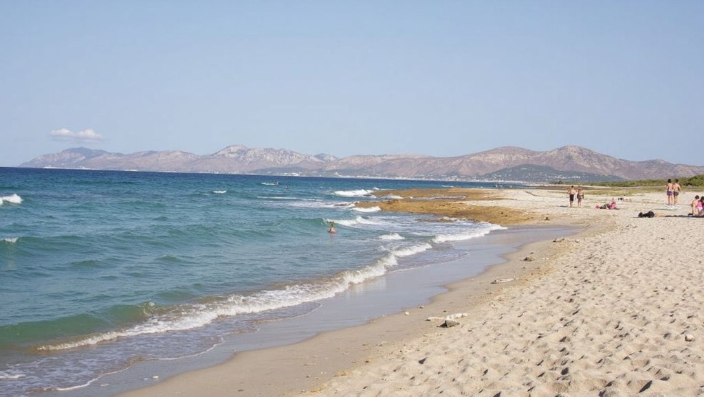 Platja de Son Real (Santa Margalida) — playa en la costa de Mallorca