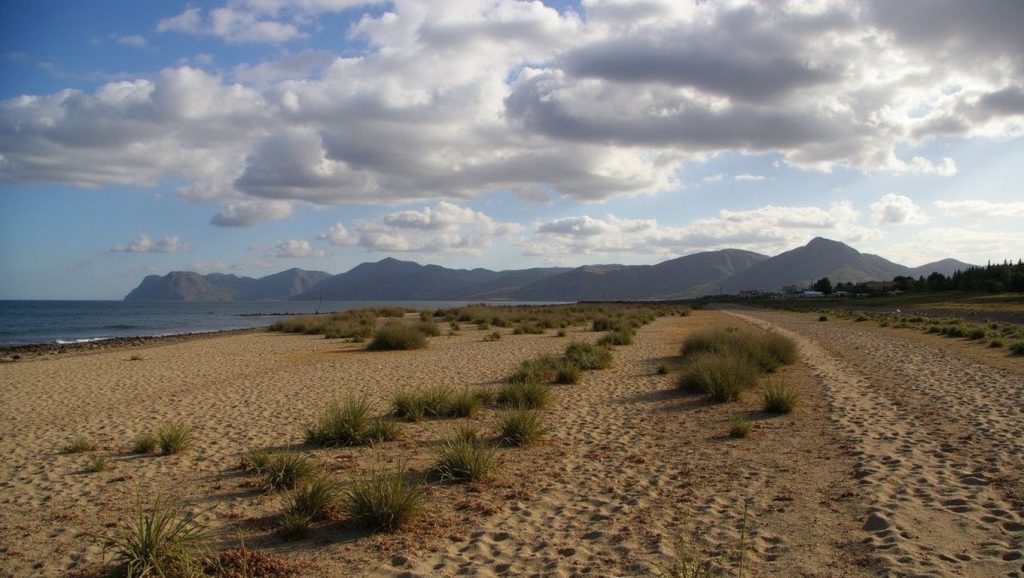 Vista de Platja de Son Serra de Marina desde la orilla, Santa Margalida