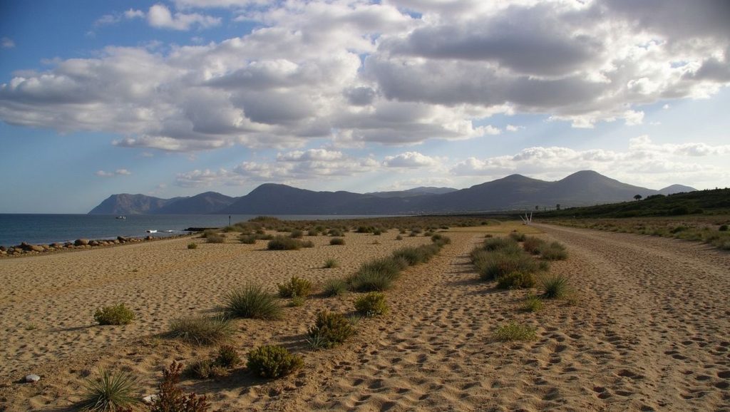 Playa Platja de Son Serra de Marina en Santa Margalida, Mallorca