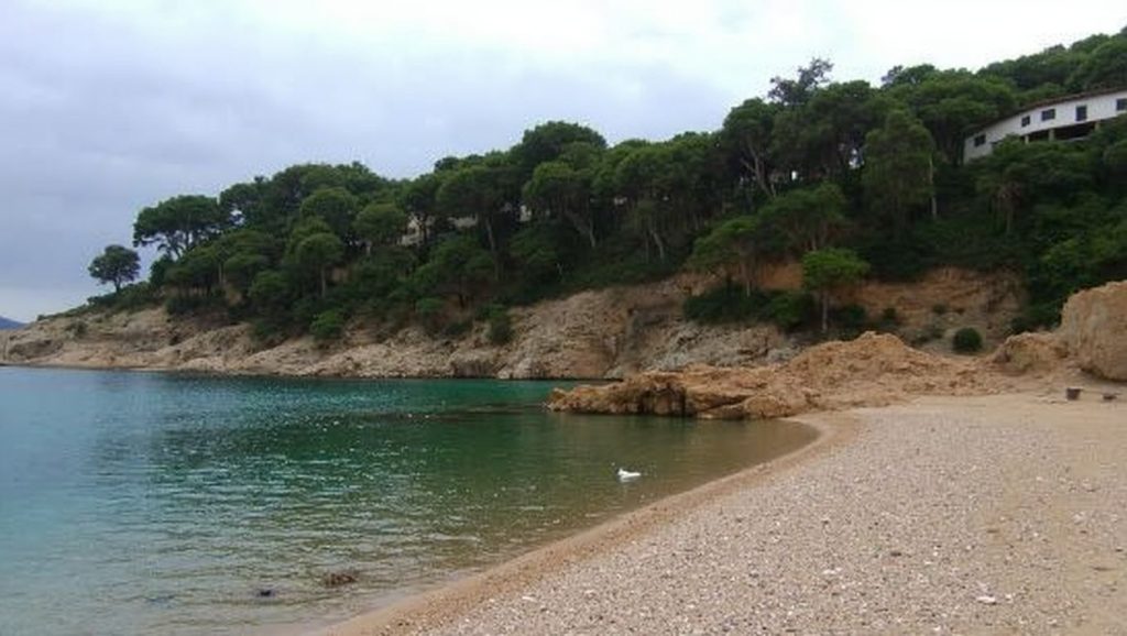 Platja de Tamariu — foto 6 de 6