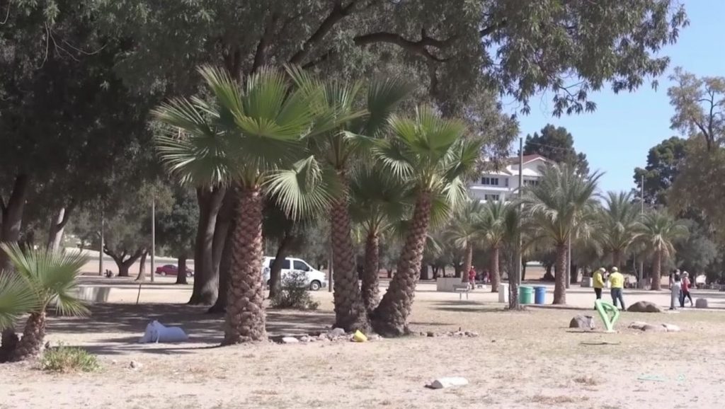 Platja del Bol Nou — foto 2 de 6