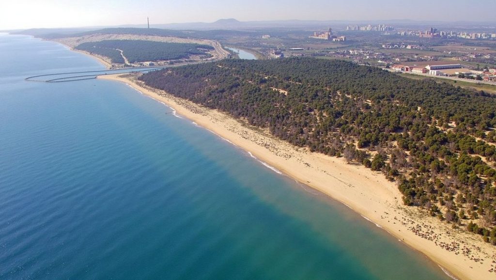 Foto de Platja del Camp