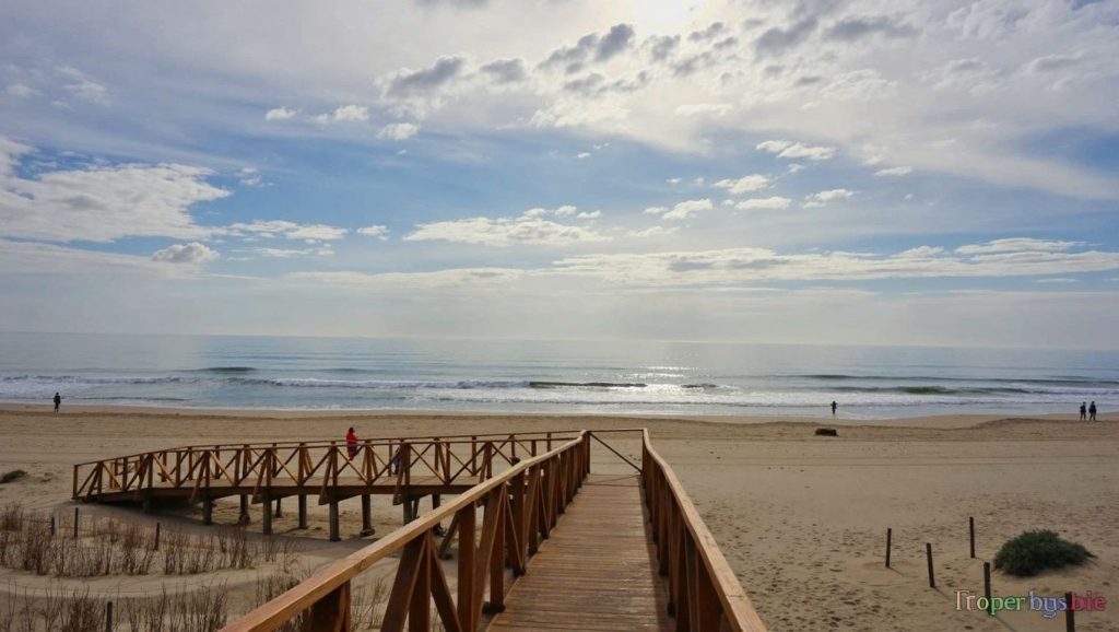 Foto de Platja del Camp