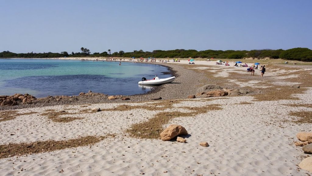 Arena y orilla en Platja del Dofí, Ses Salines, Mallorca