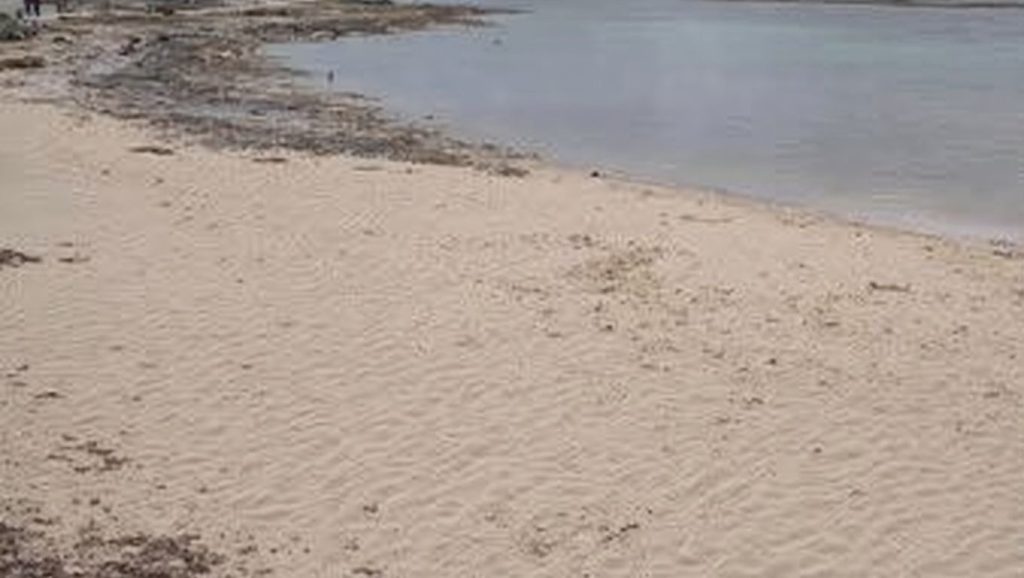 Textura de arena en Platja del Dofí, Ses Salines, Mallorca